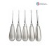 Bein Root Elevator (Set of 5)