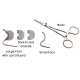 Dowling Spay Retractor