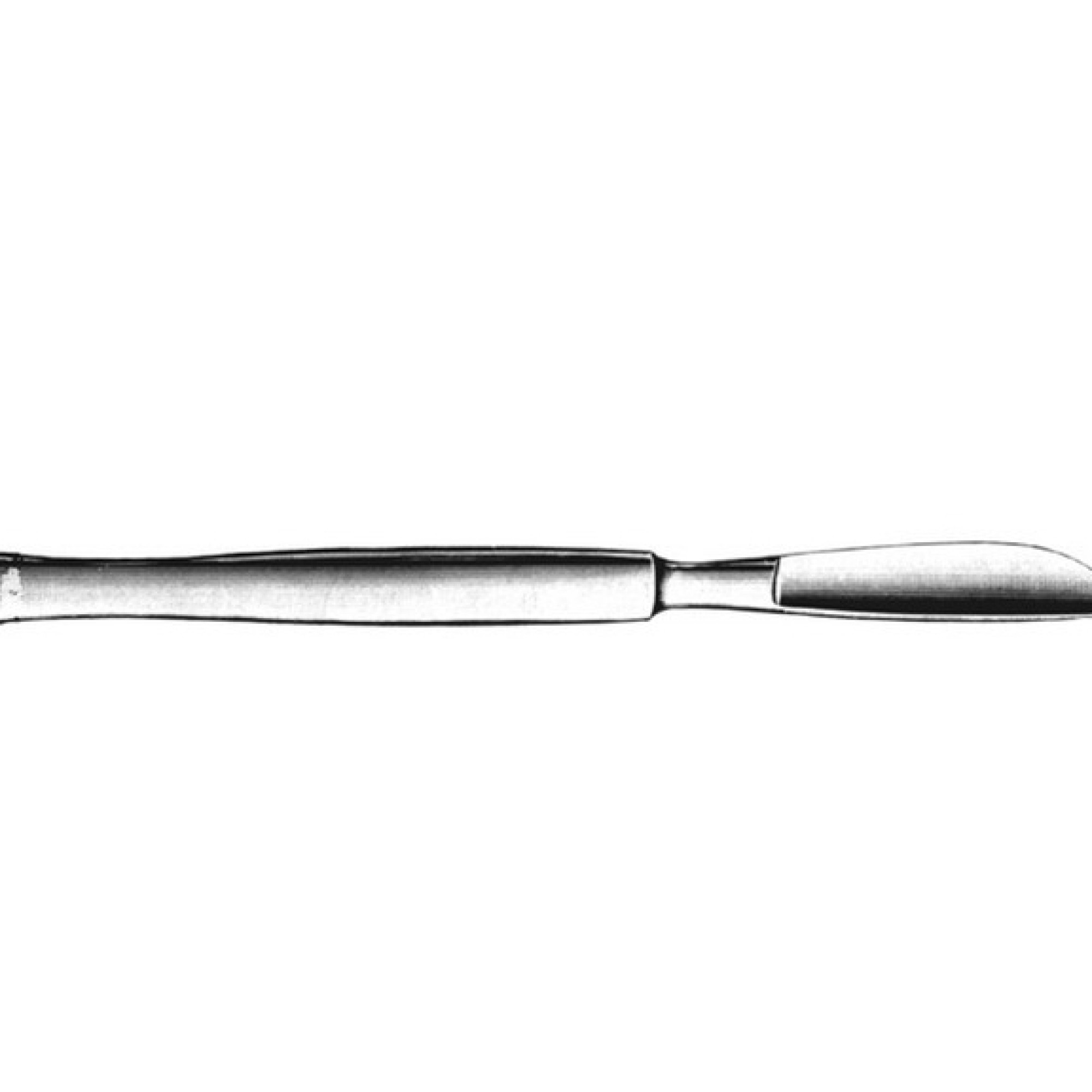Standard Dissecting Knive Standard Dissecting Knive