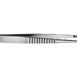 English Model Dressing Forcep