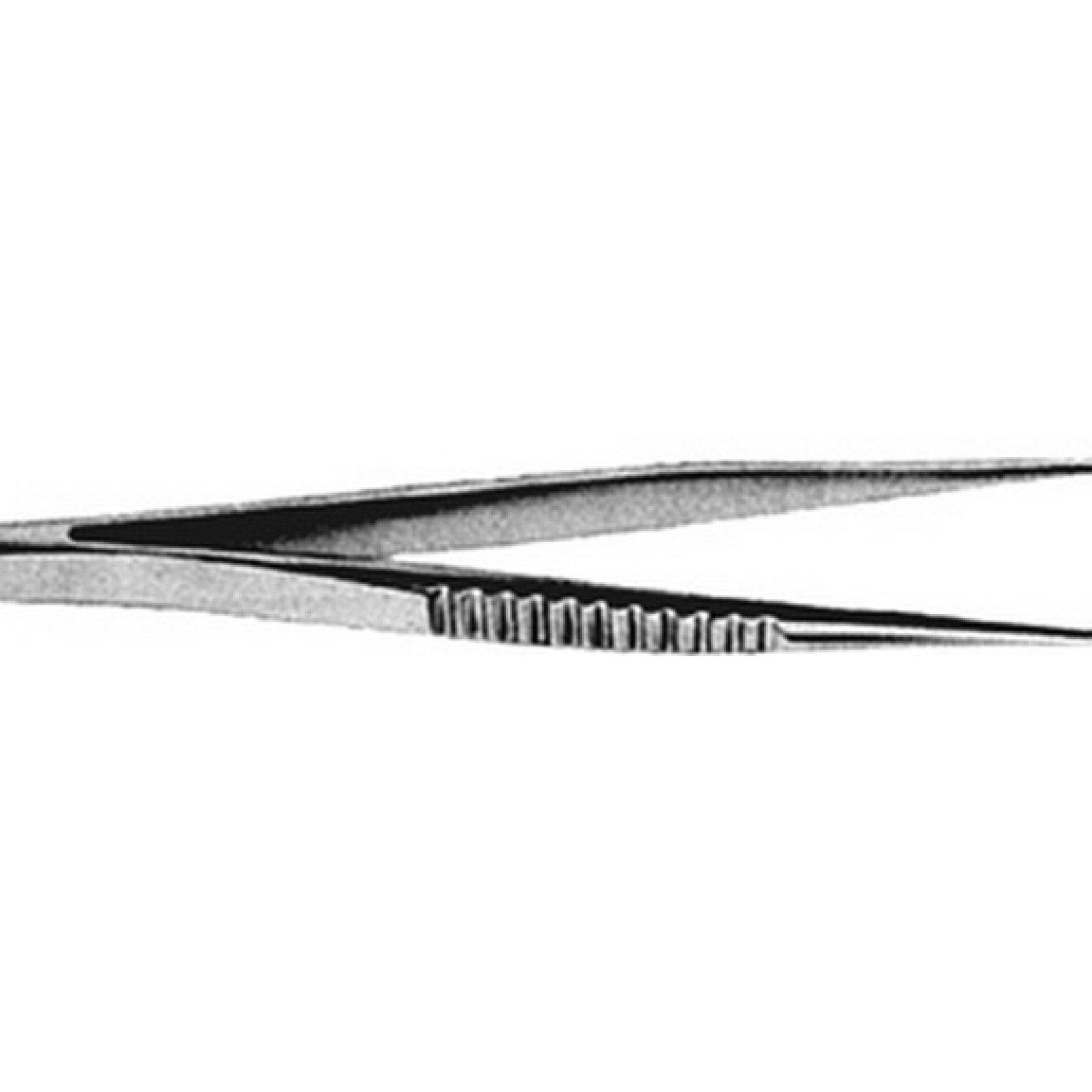 Treves Tissue Forcep Treves Tissue Forcep