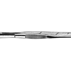 Standard Tissue Forcep 