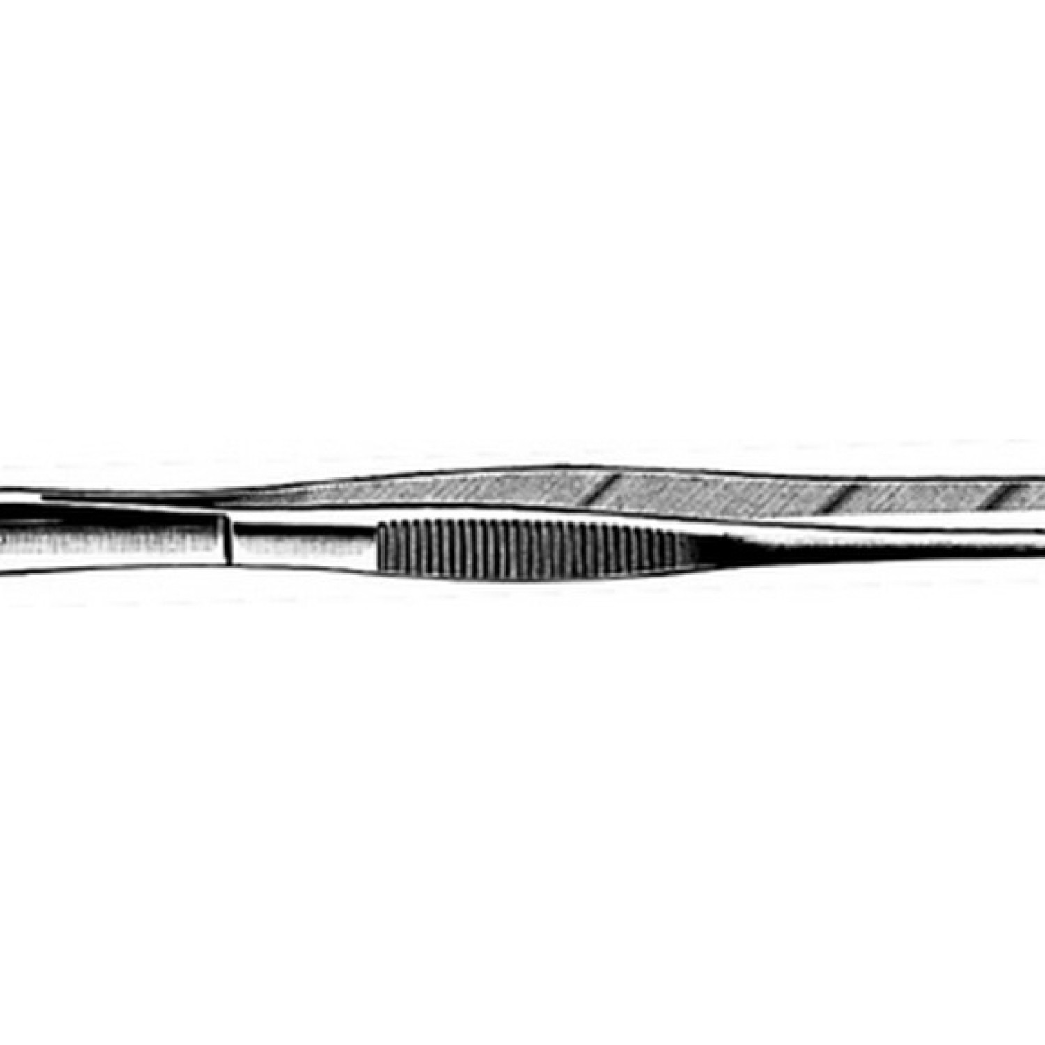 Standard Tissue Forcep Standard Tissue Forcep