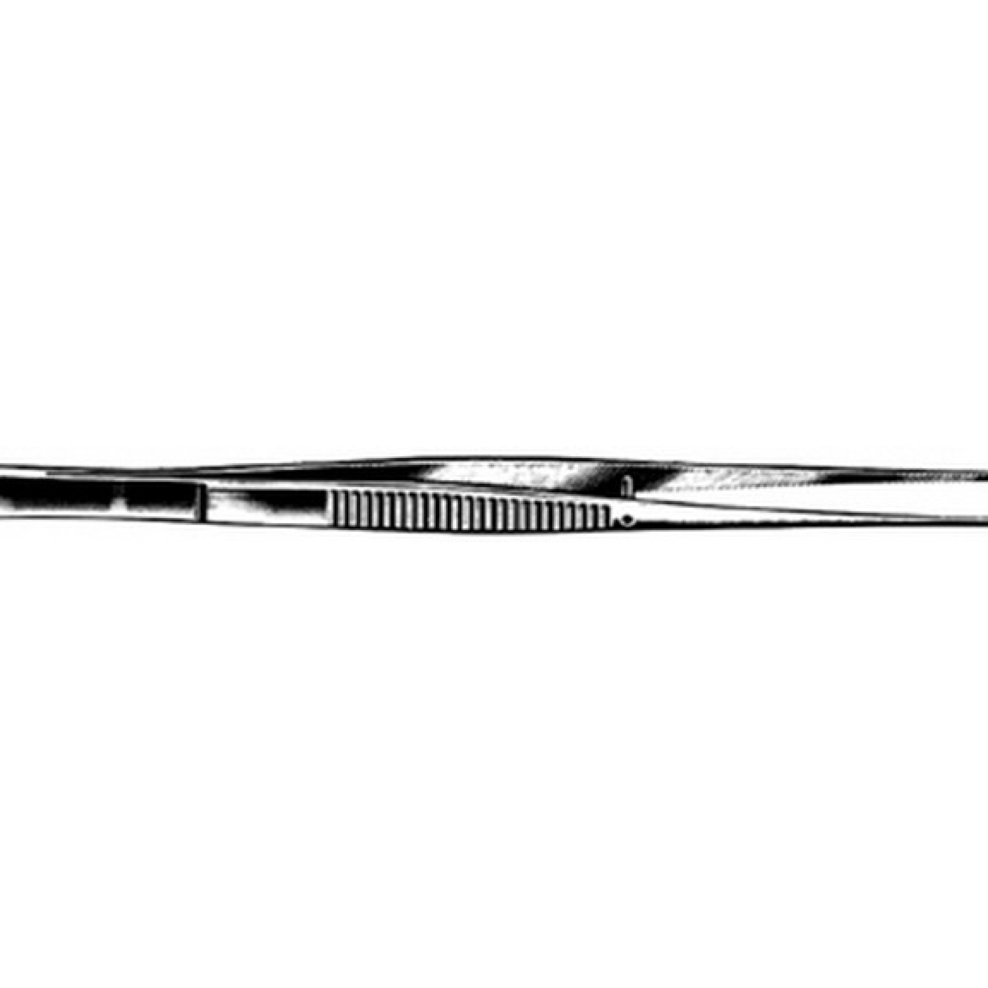 Semken Tissue Forcep Semken Tissue Forcep