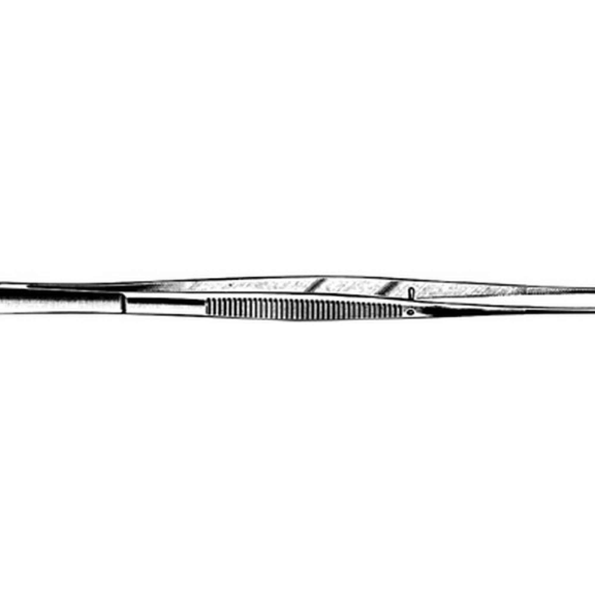 Taylor Tissue Forcep