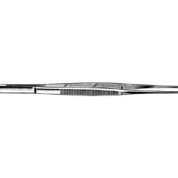 Taylor Tissue Forcep