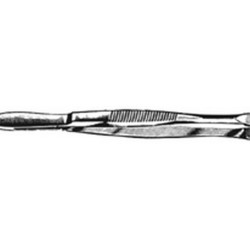 Cilia Forcep 