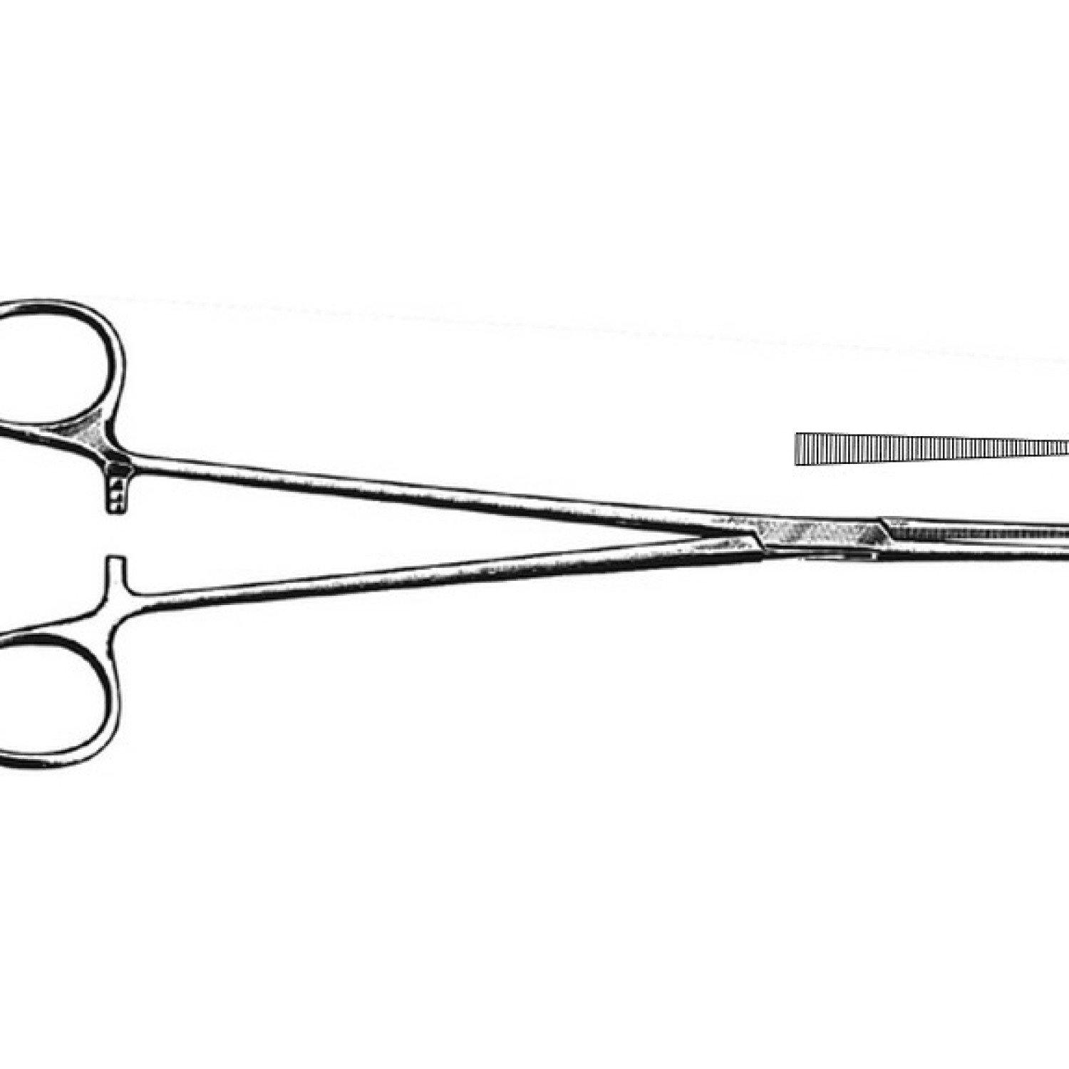 Heiss Artery Forcep Heiss Artery Forcep