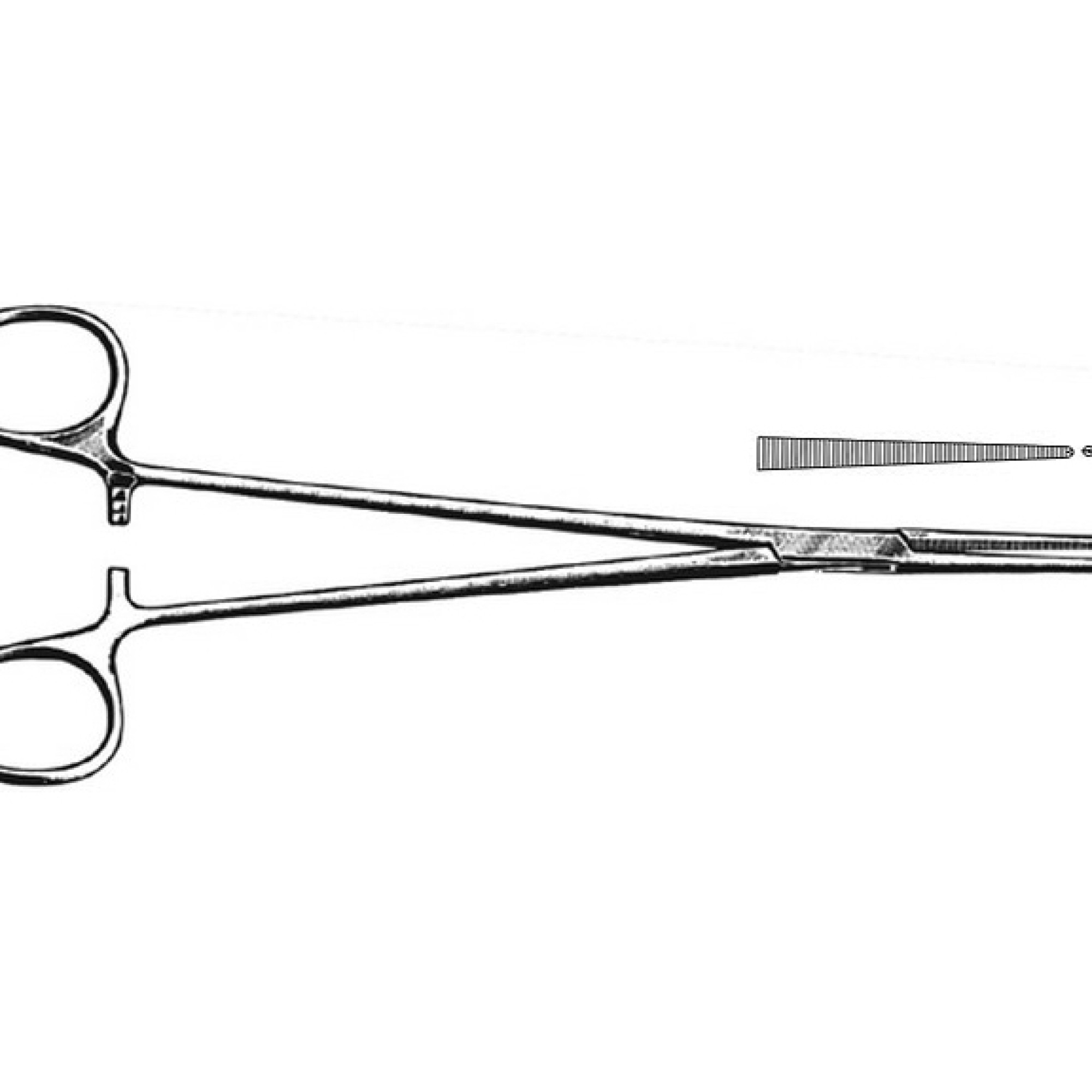 Heiss Artery Forcep
