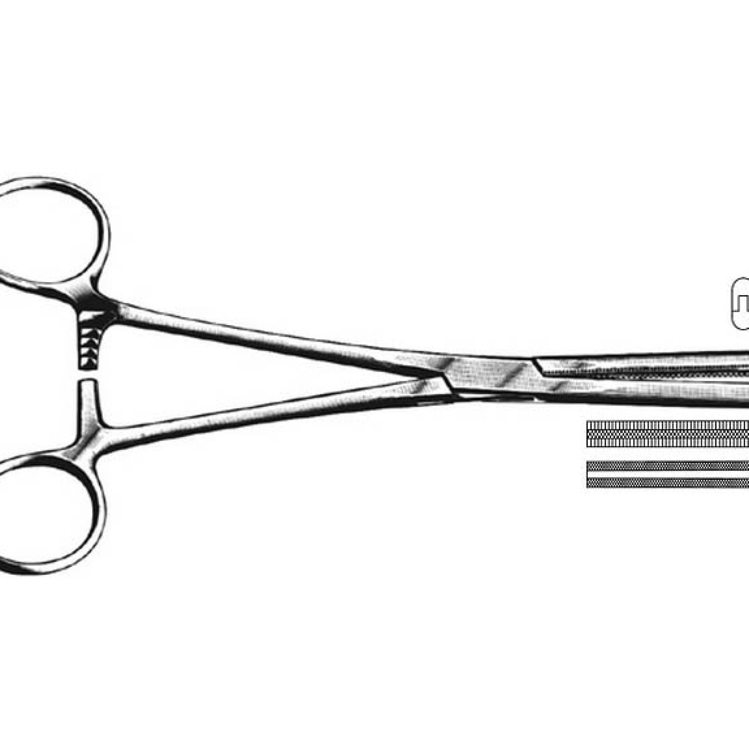 Fergusson Angiotribes Forcep Fergusson Angiotribes Forcep