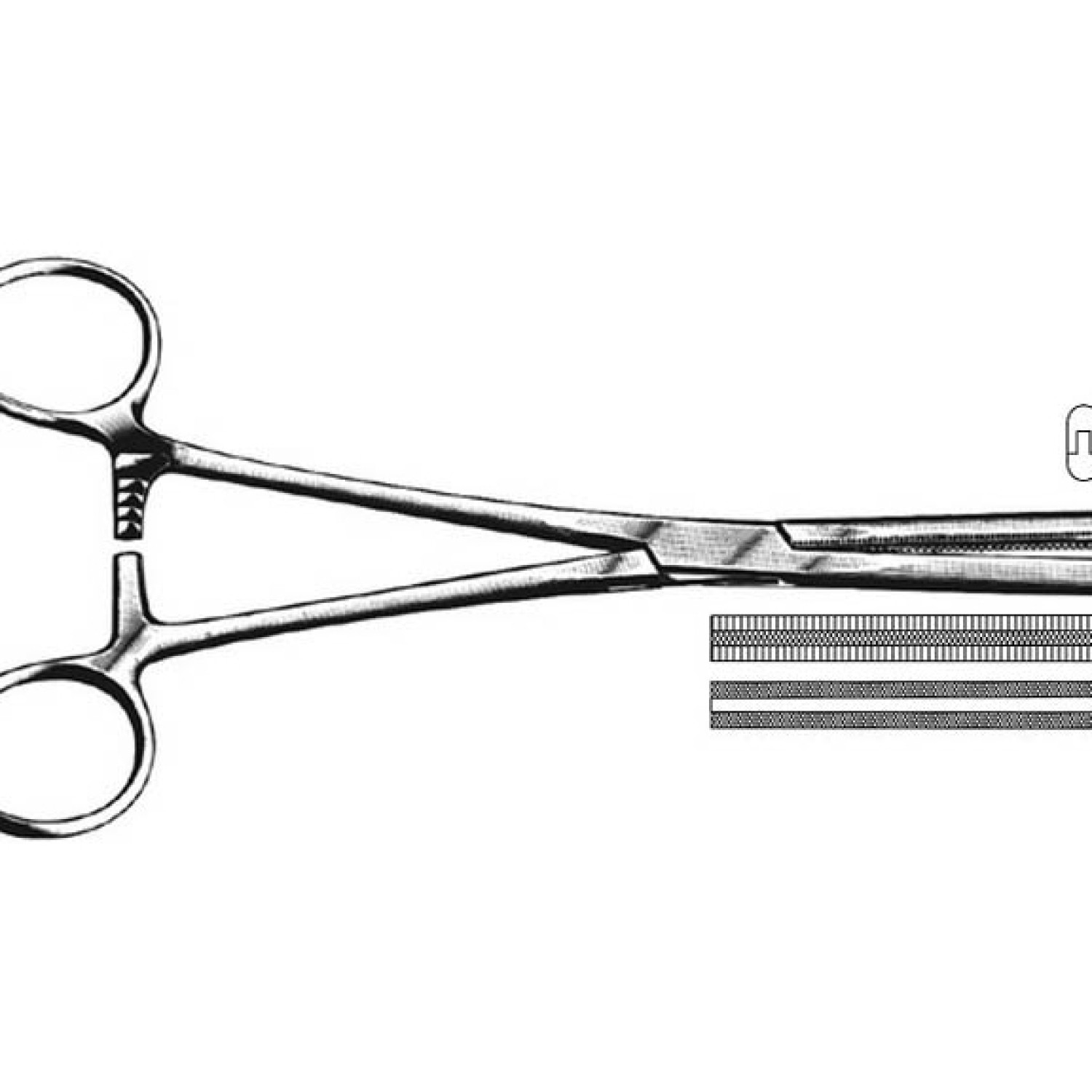 Fergusson Angiotribes Forcep Fergusson Angiotribes Forcep