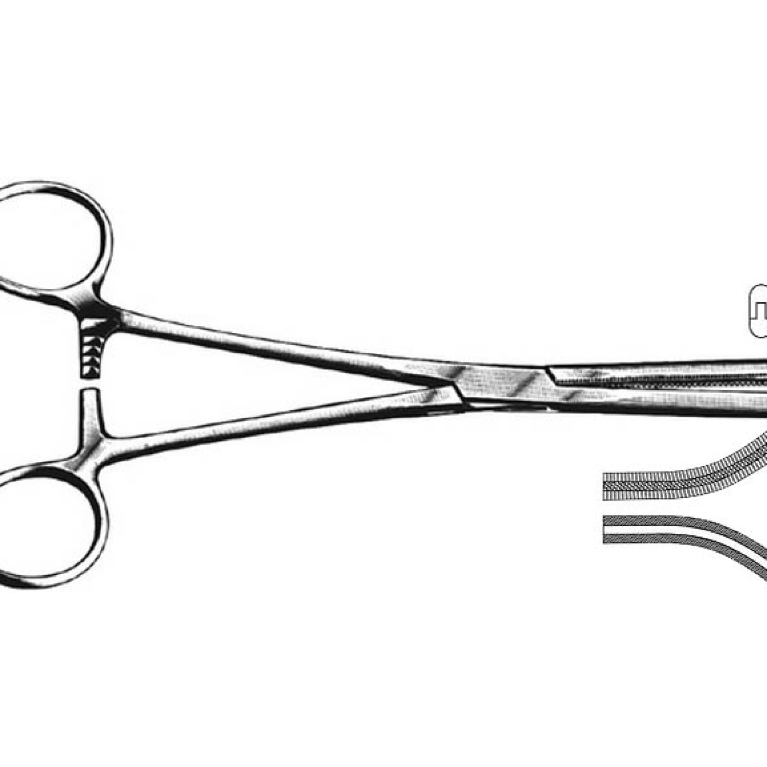Fergusson Angiotribes Forcep Fergusson Angiotribes Forcep