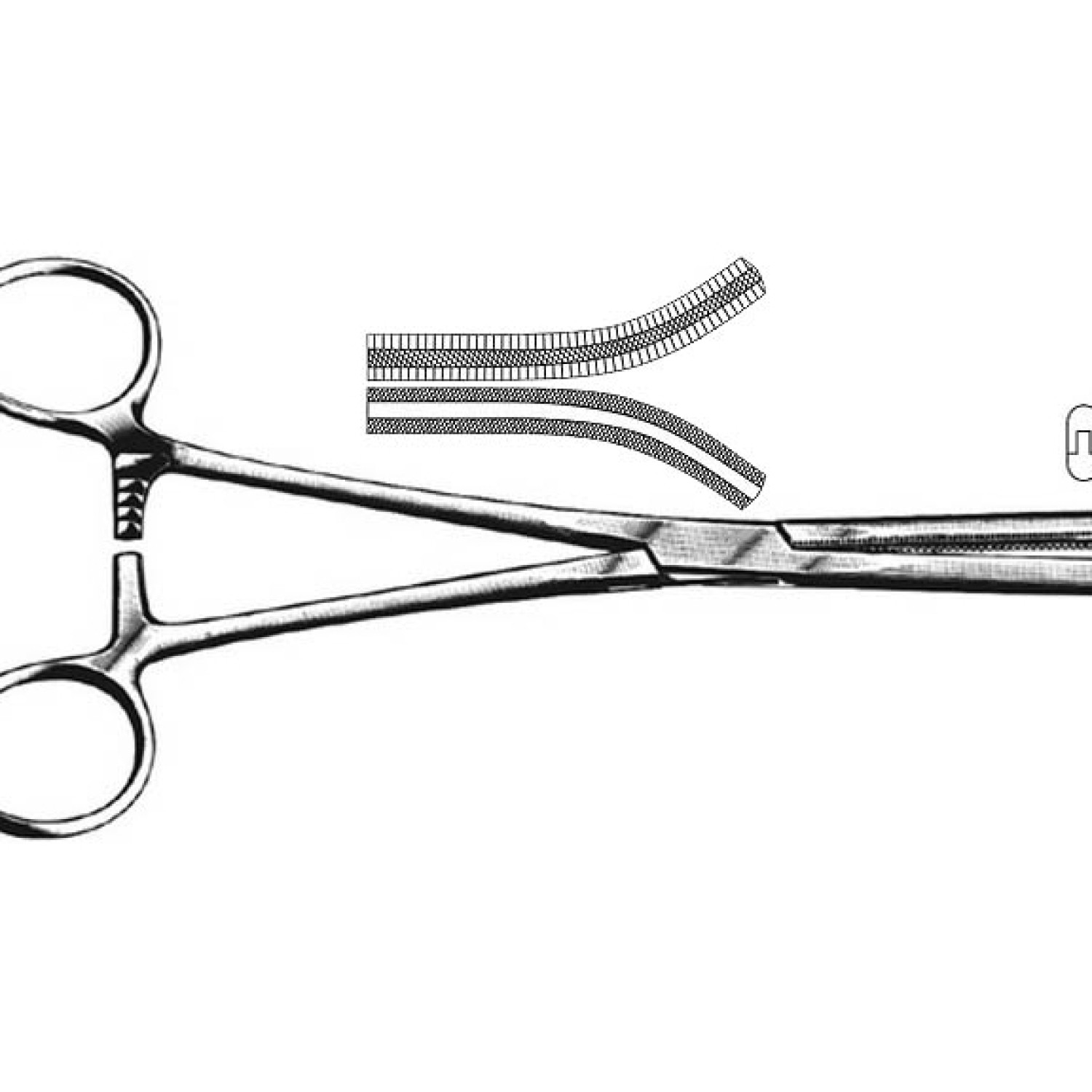 Fergusson Angiotribes Forcep Fergusson Angiotribes Forcep