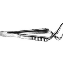 Jones Towel Forcep