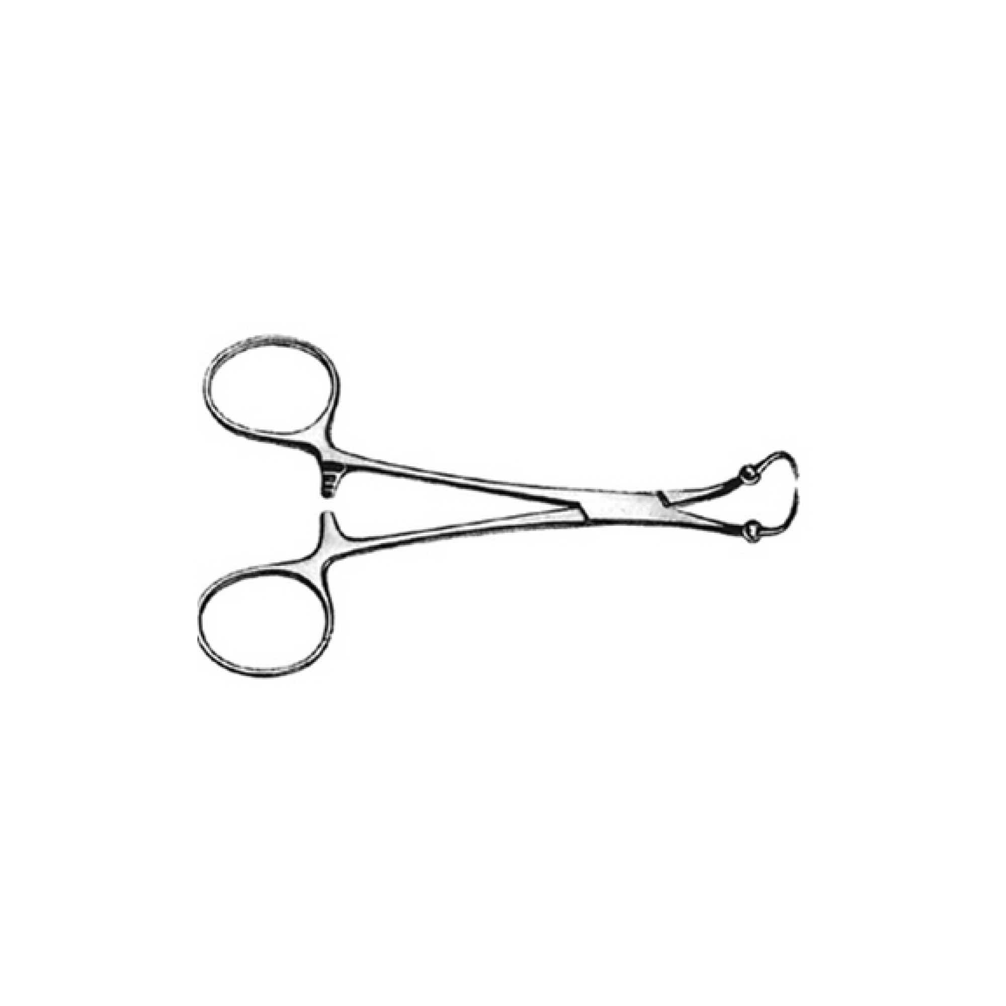 Roeder Towel Forcep