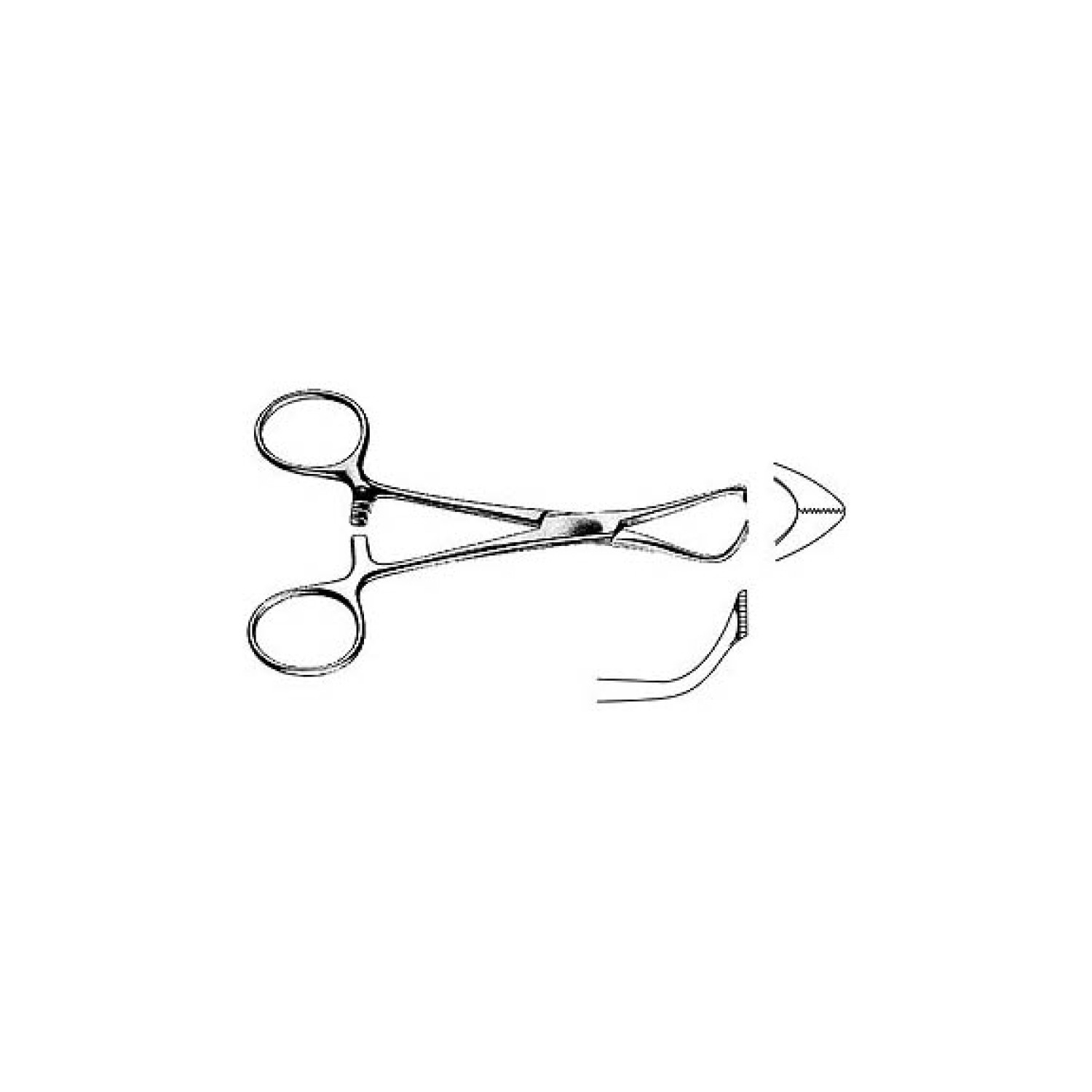 Lorna Towel Forcep Lorna Towel Forcep