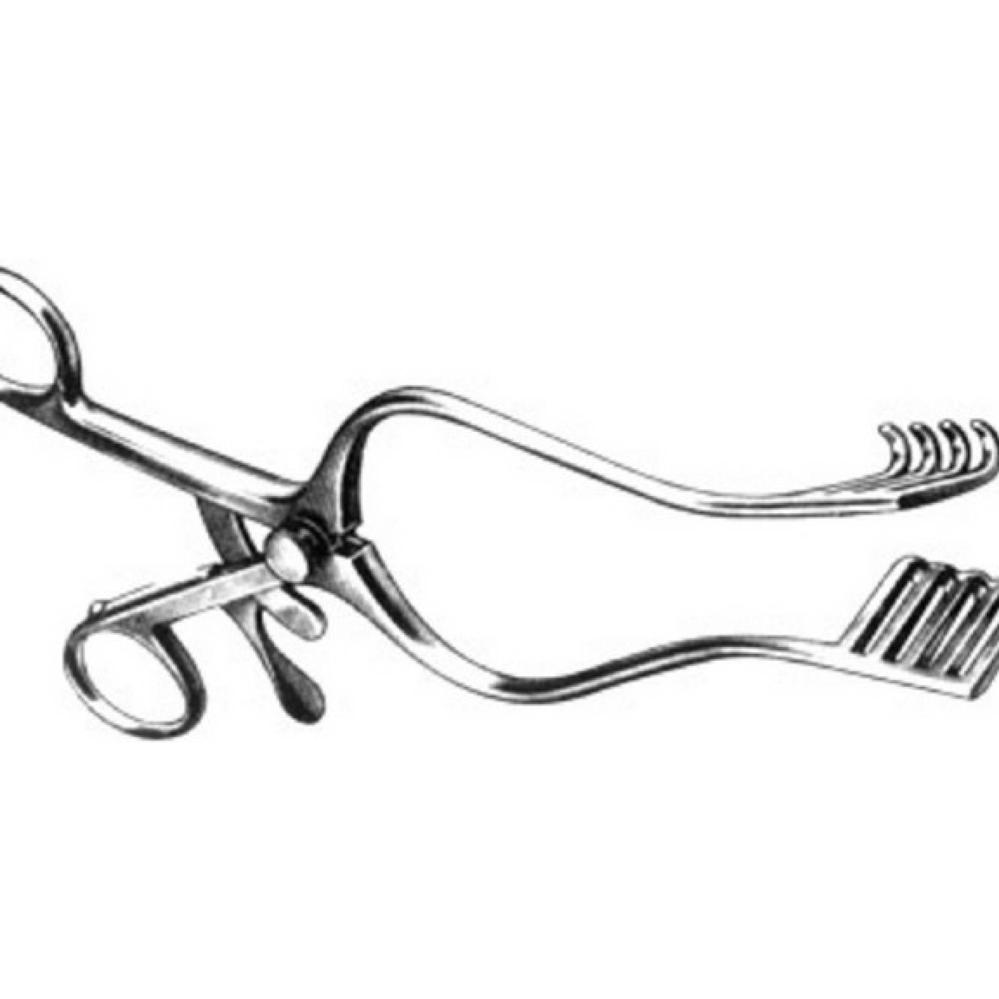 Travers Retractor
