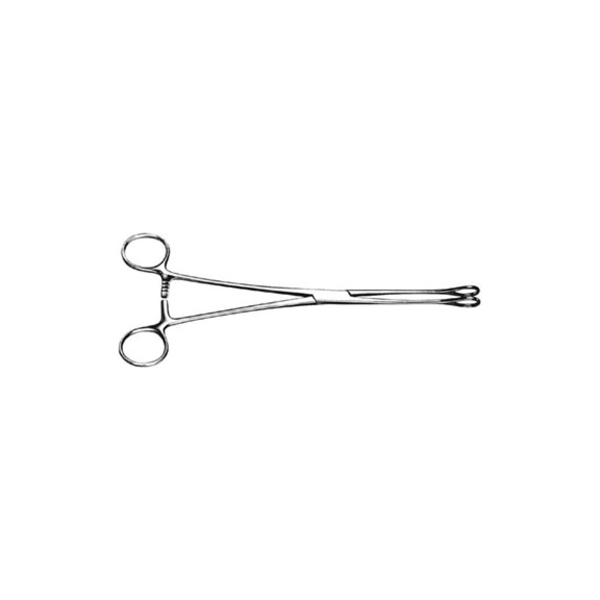Foerster Forcep Foerster Forcep