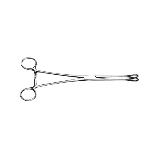 Foerster Forcep Serrated