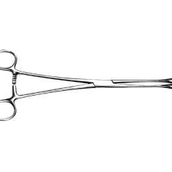 Foerster Forcep Serrated