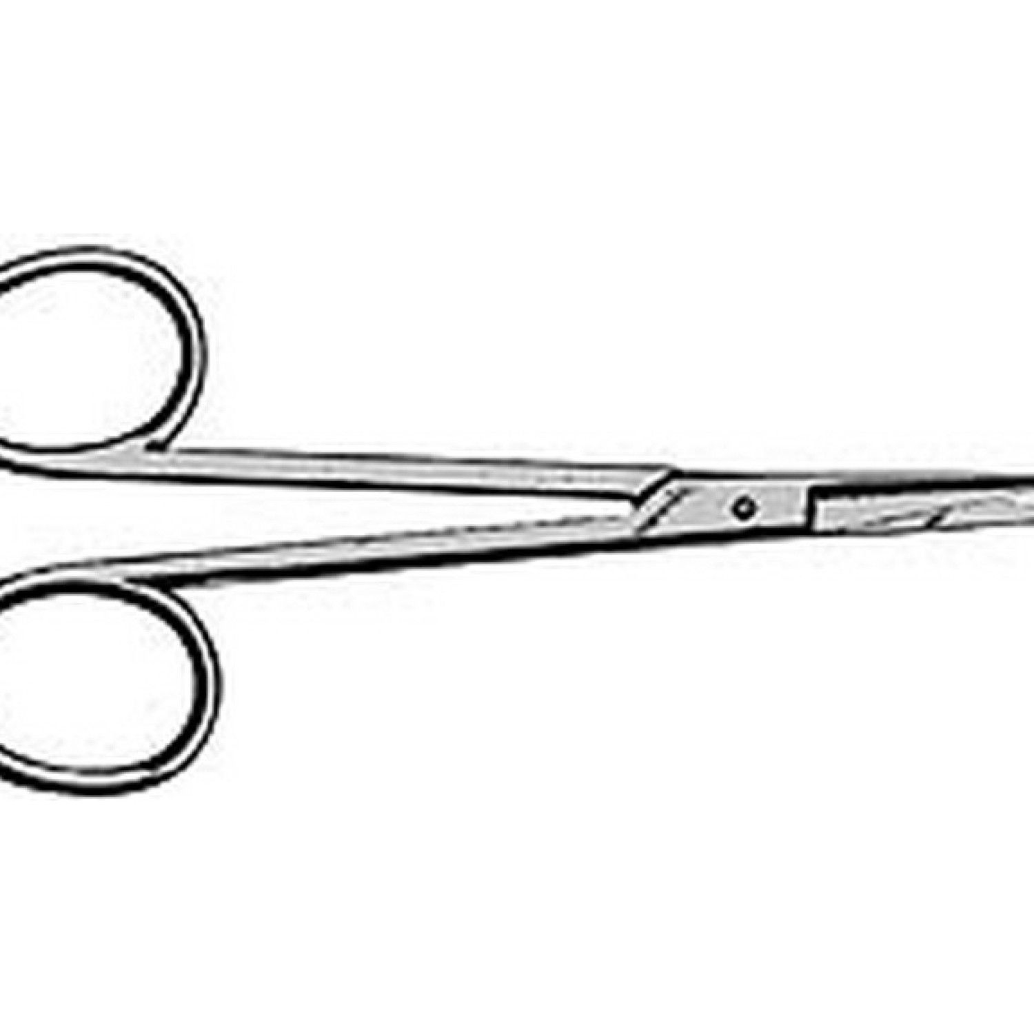 Iris Scissor Iris Scissor