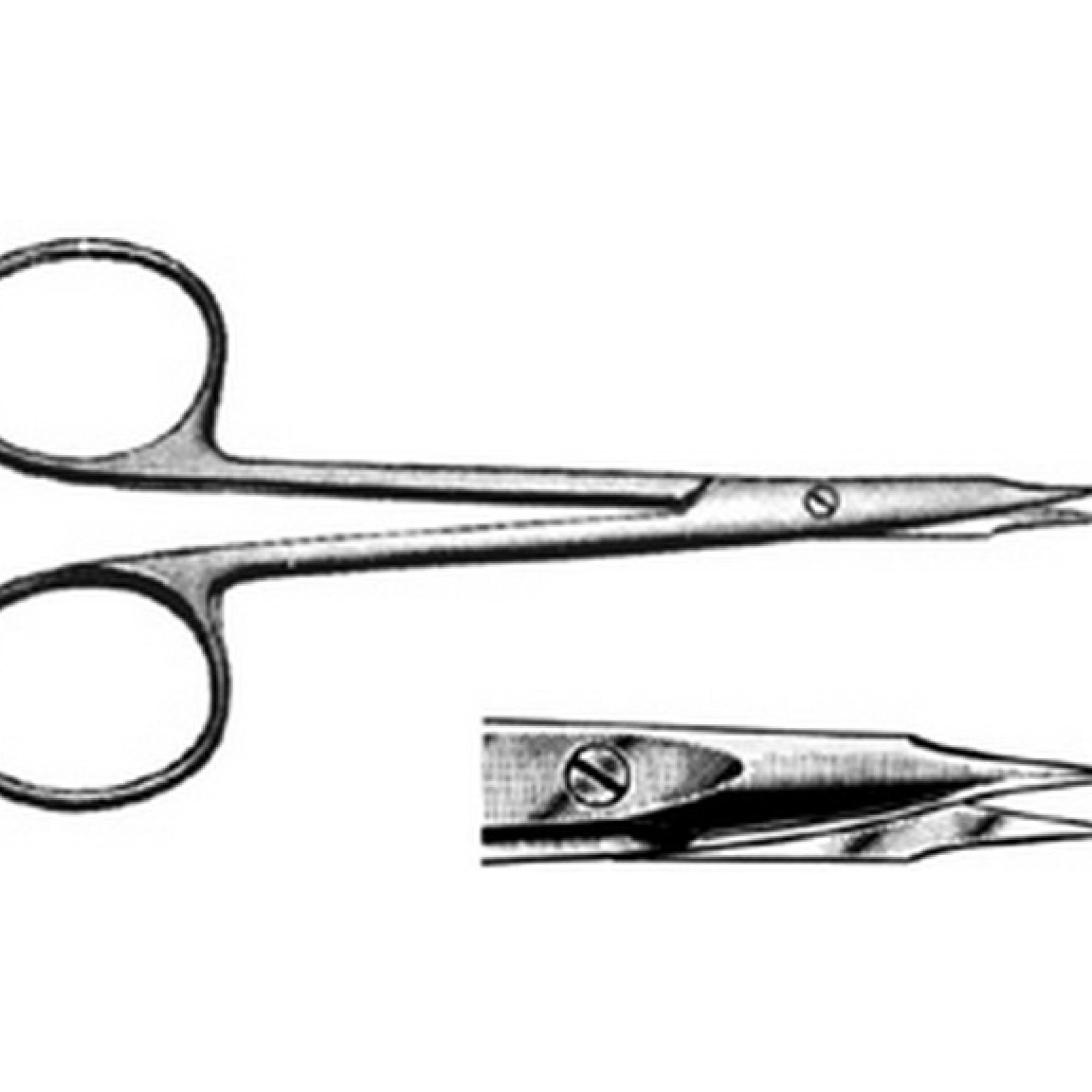 Steven Scissor Steven Scissor