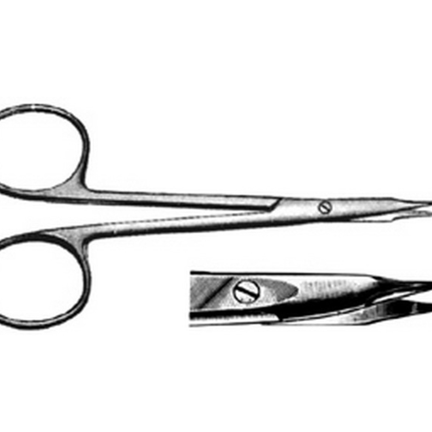 Steven Scissor Steven Scissor