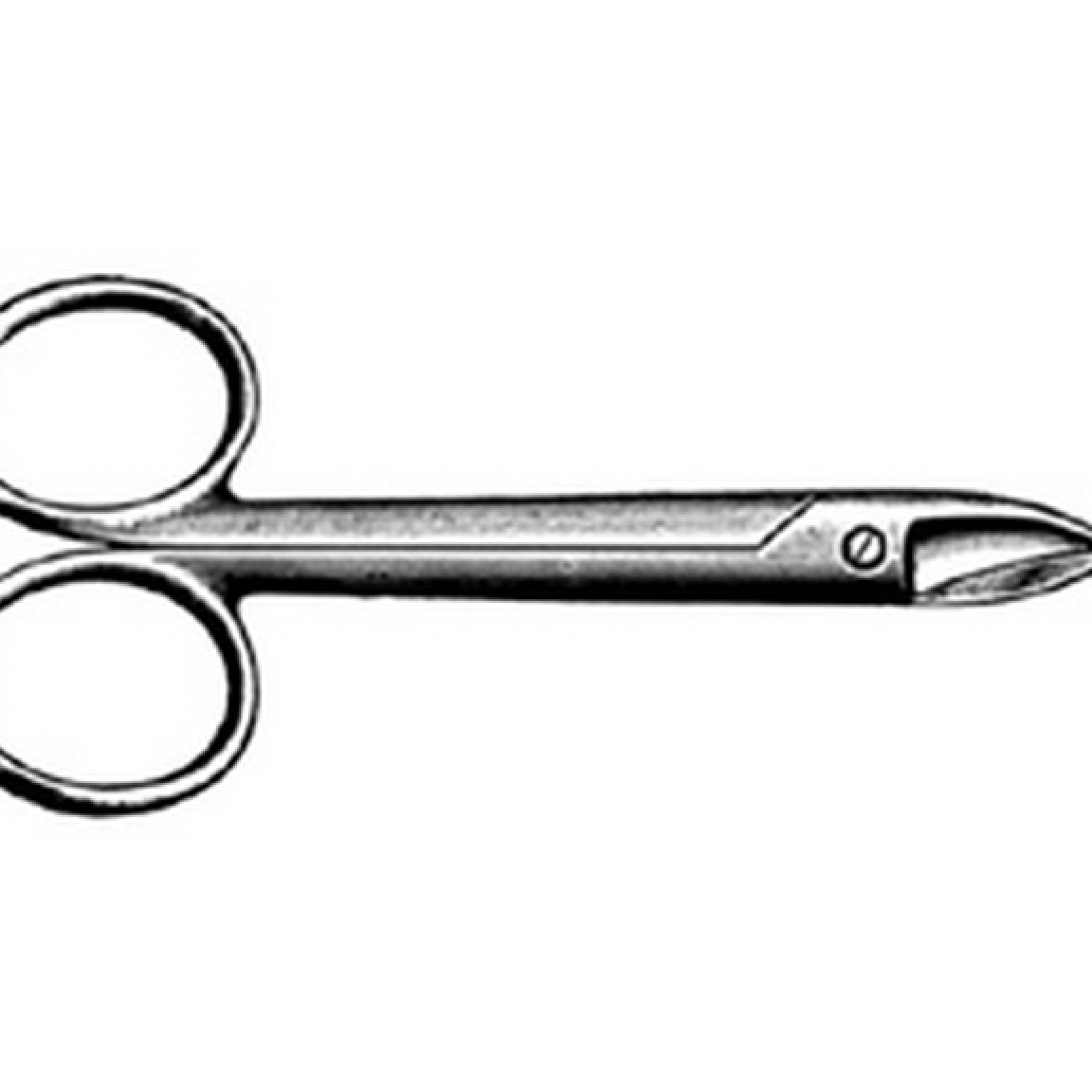 Crown-Beebee Scissor Crown-Beebee Scissor