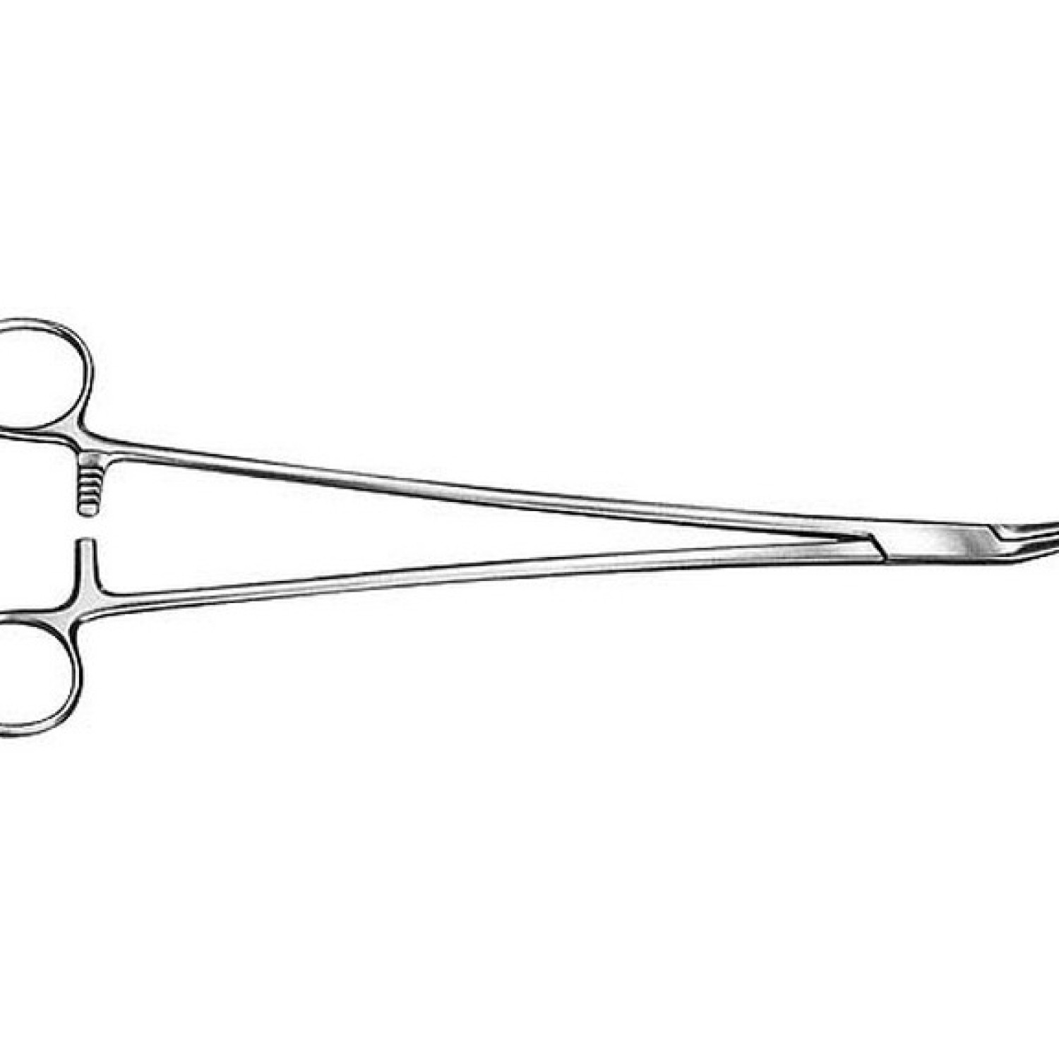 Finocchietto Needle Holder