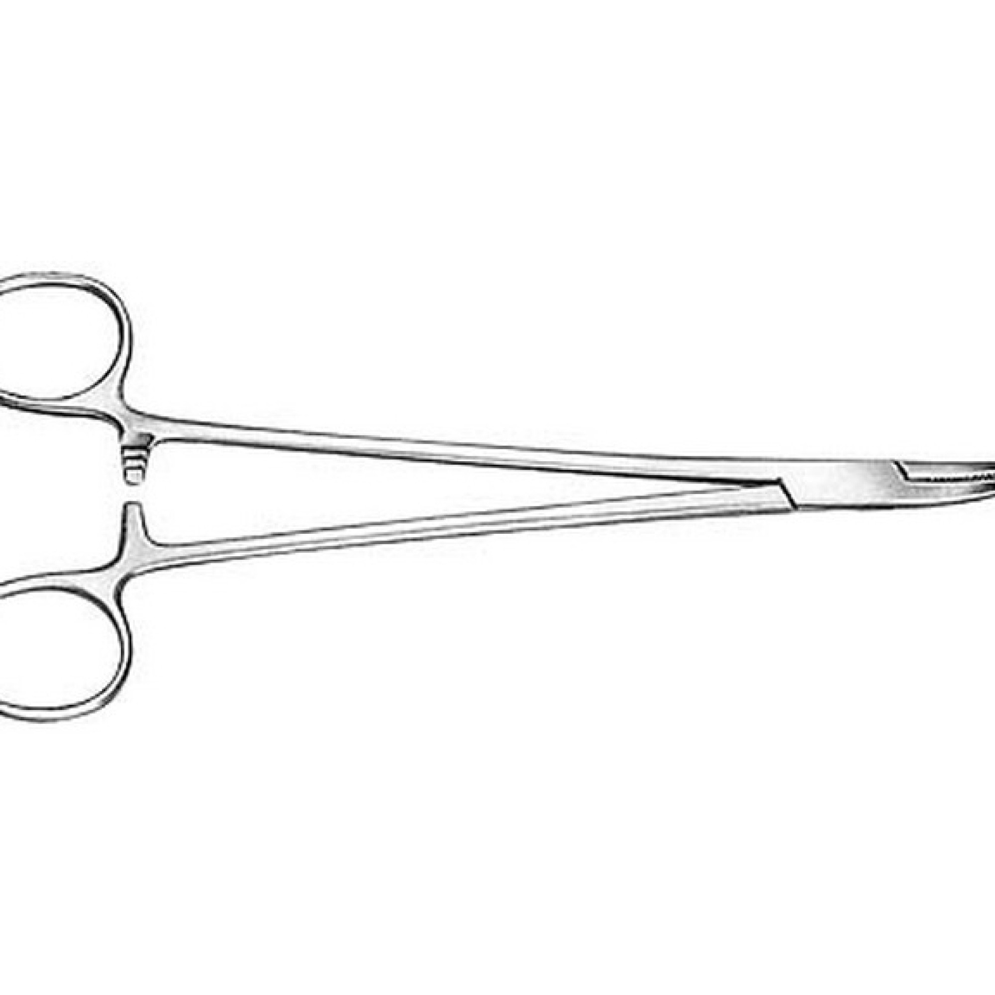 Heaney Needle Holder