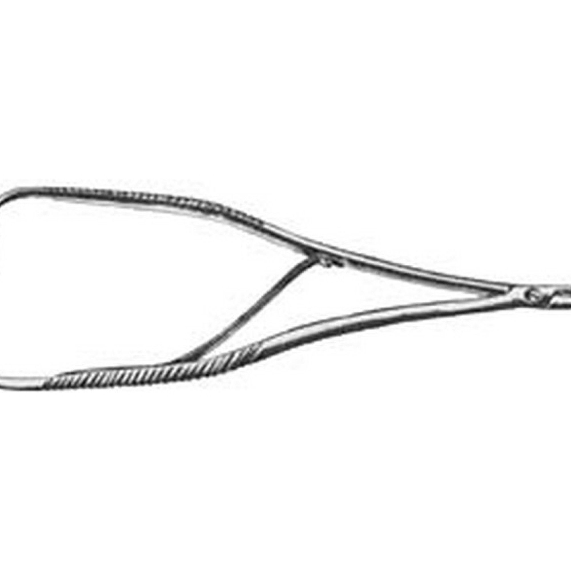 Boynton Needle Holder