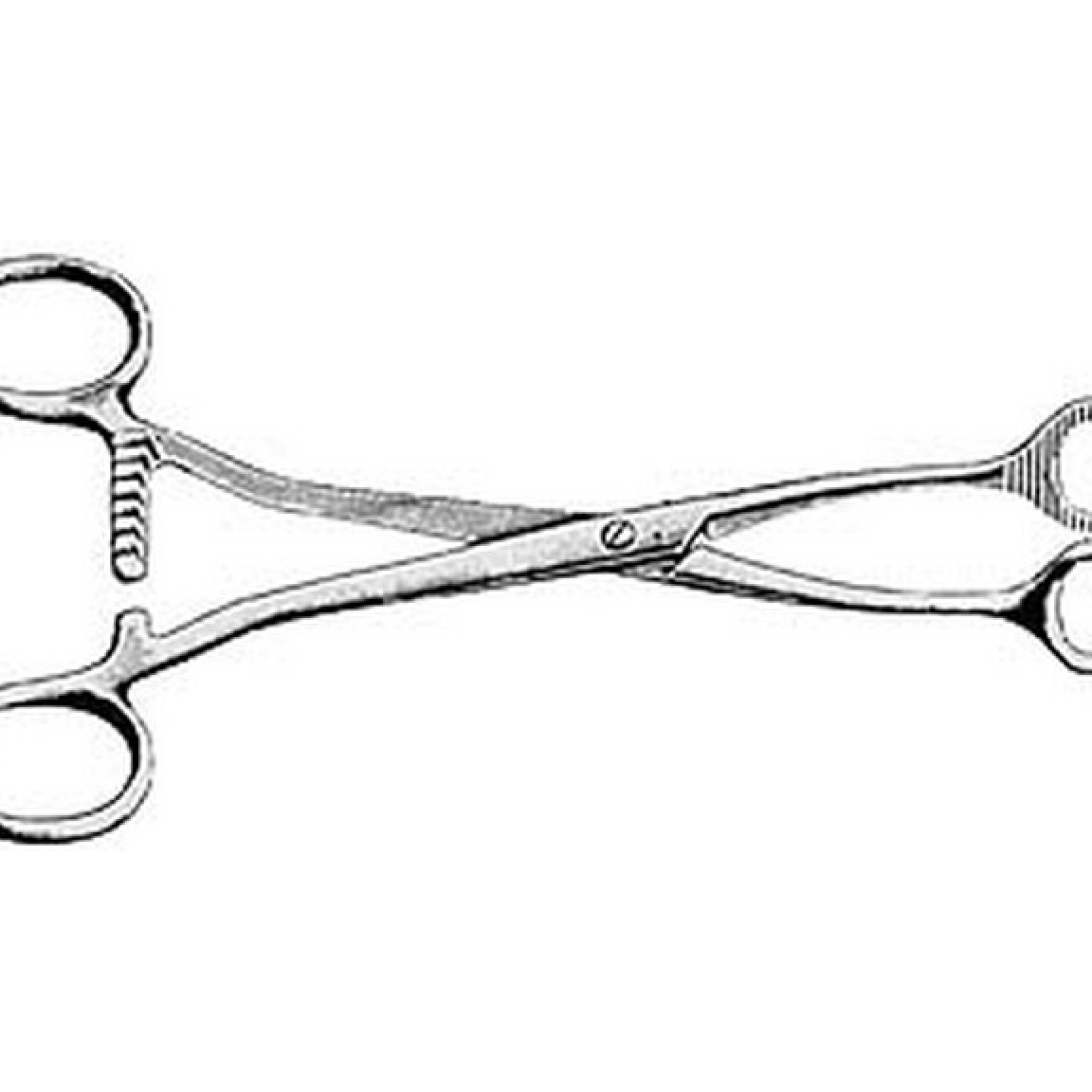 Collin Tongue Holding Forcep