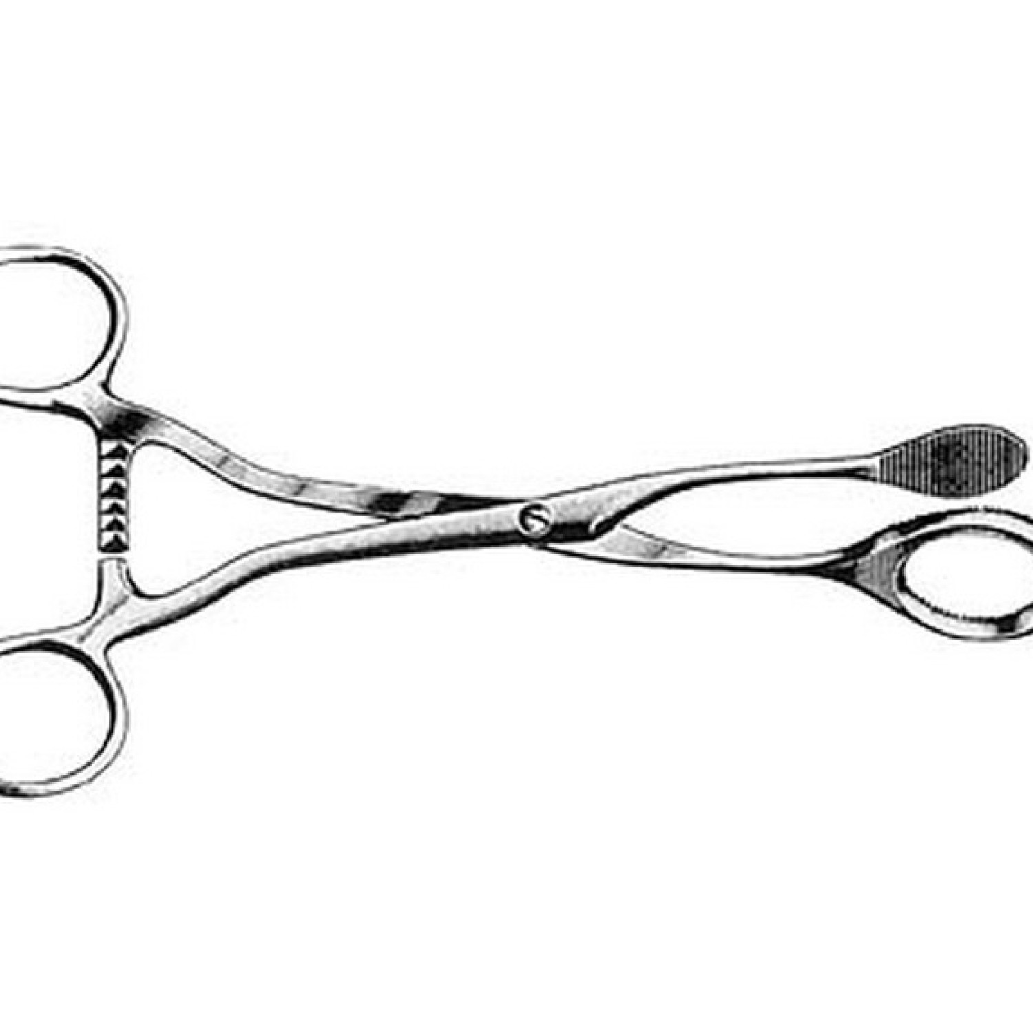 Mathieu Tongue Holding Forcep