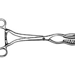 Clock Uterine Holding Forceps