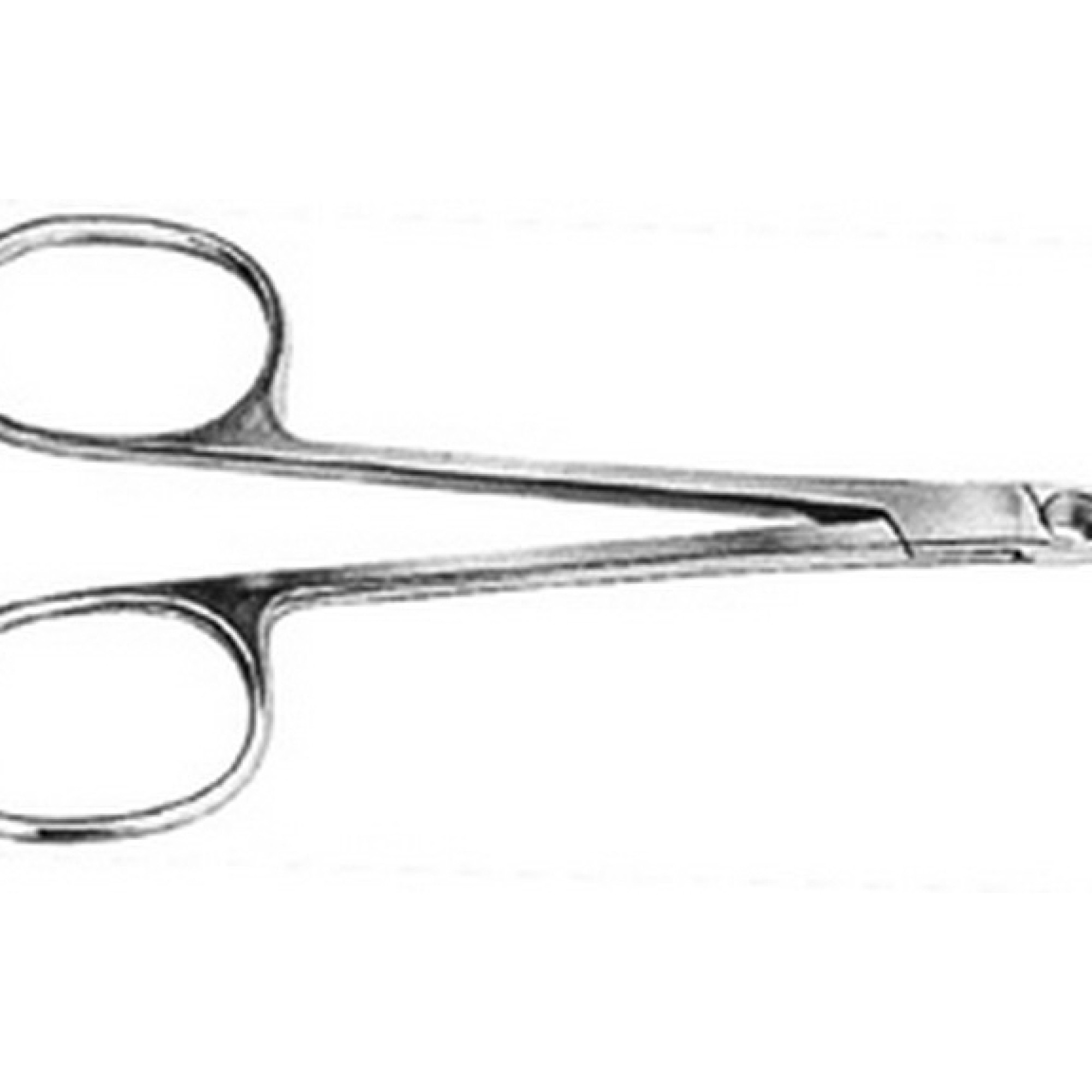 Nail Nipper