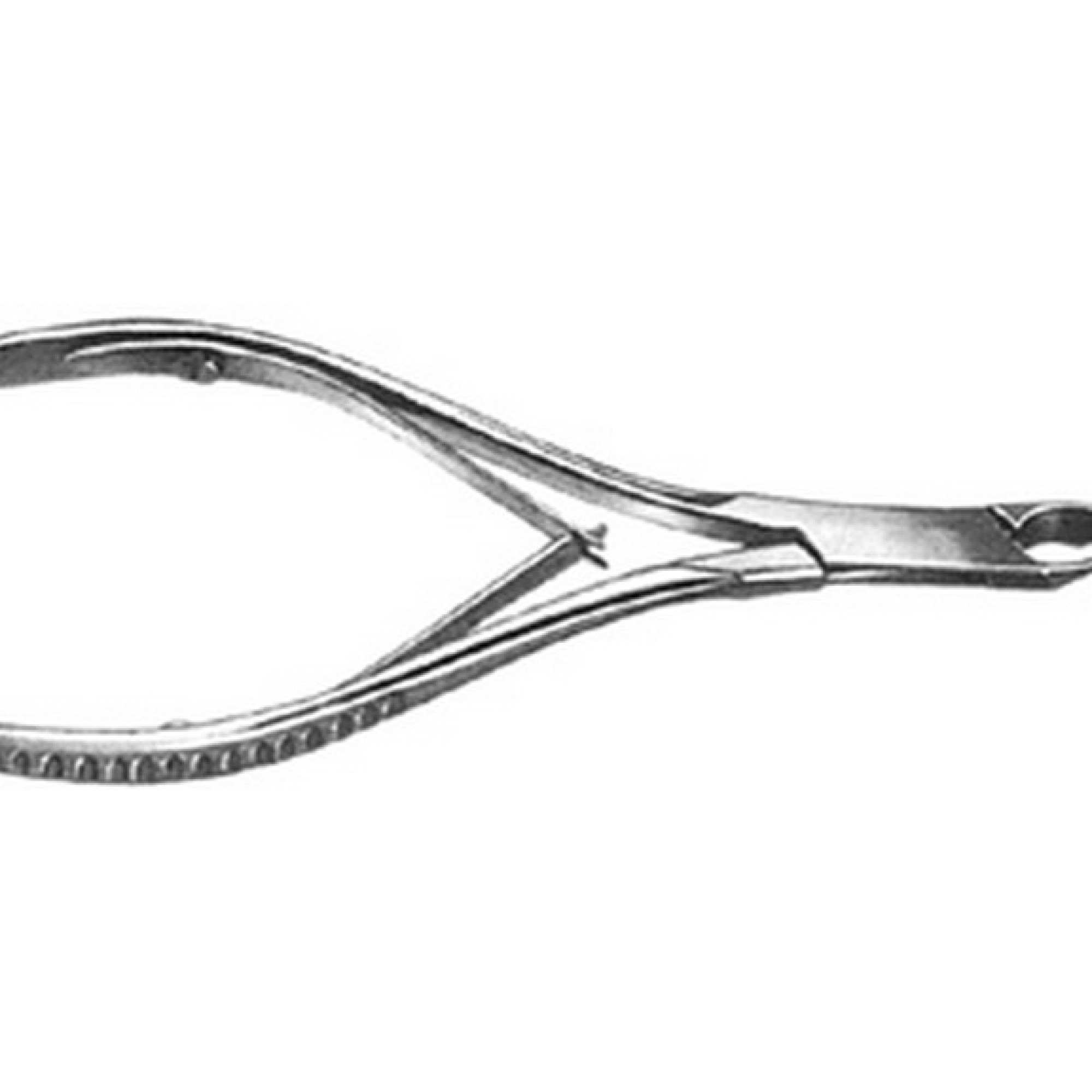 Nail Nipper