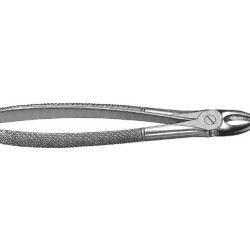 English Pattern Extraction Forcep upeer centrals and canines