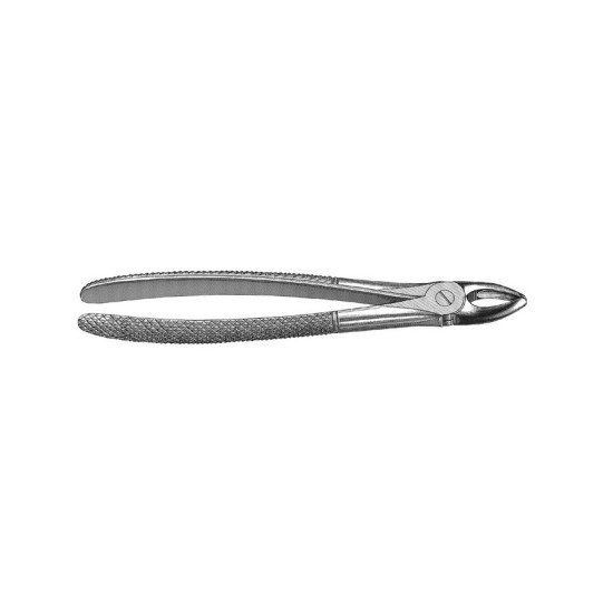 English Pattern Extraction Forcep upeer centrals and canines