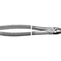 English Pattern Extraction Forcep upper laterals and bucuspids