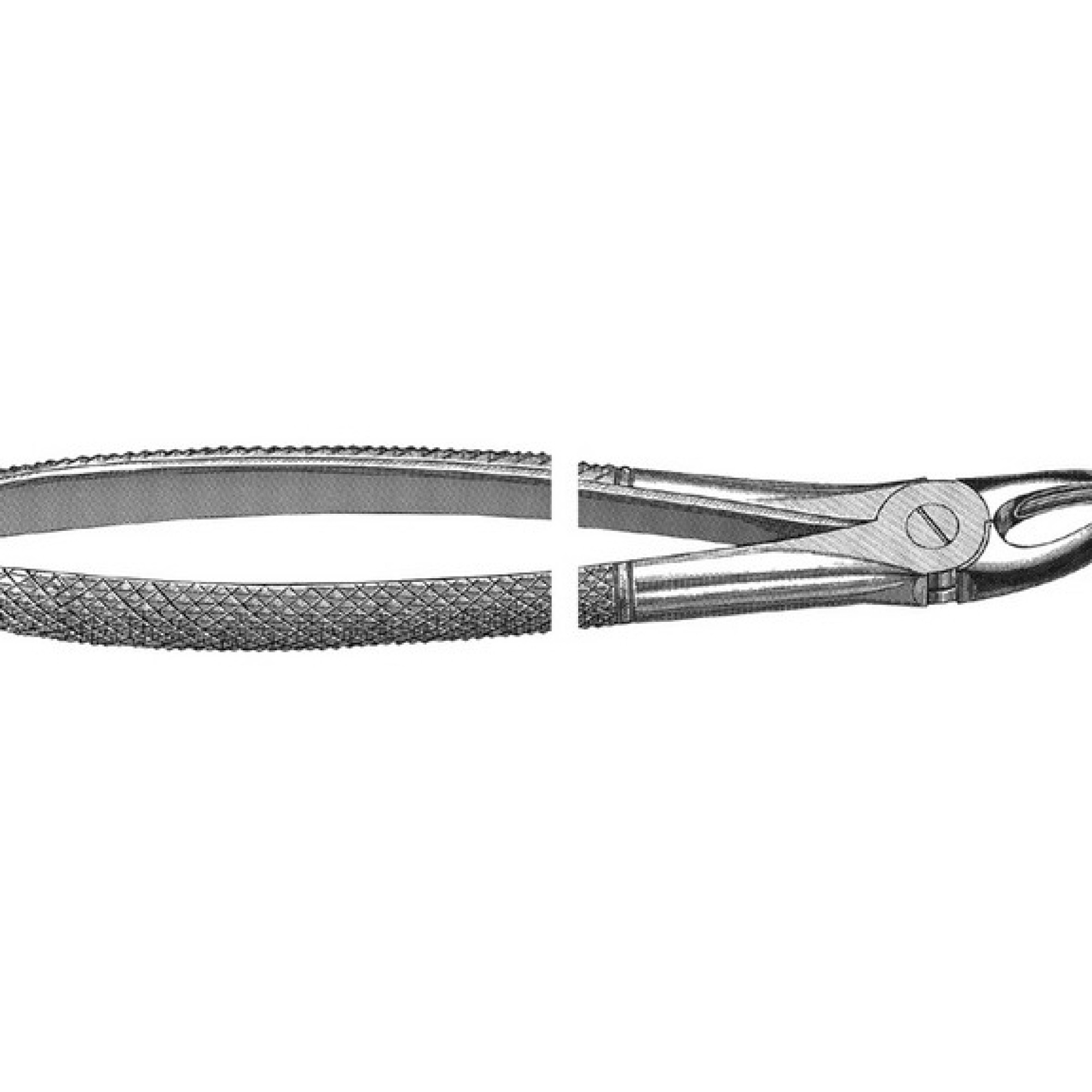 English Pattern Extraction Forcep upper bicuspids, either side