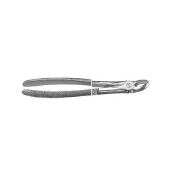 English Pattern Extraction Forcep upper molar right