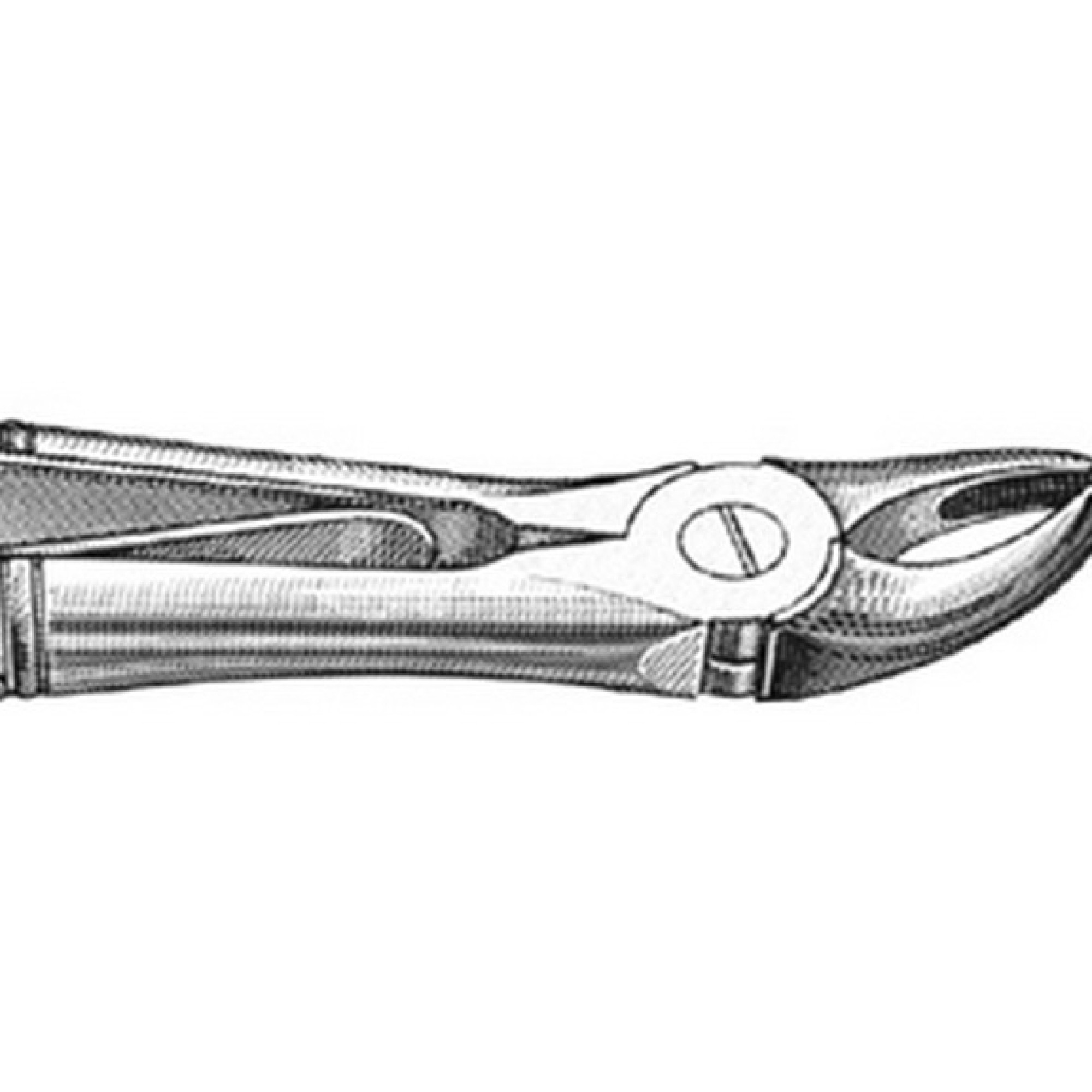 Klein Extraction Forcep Klein Extraction Forcep