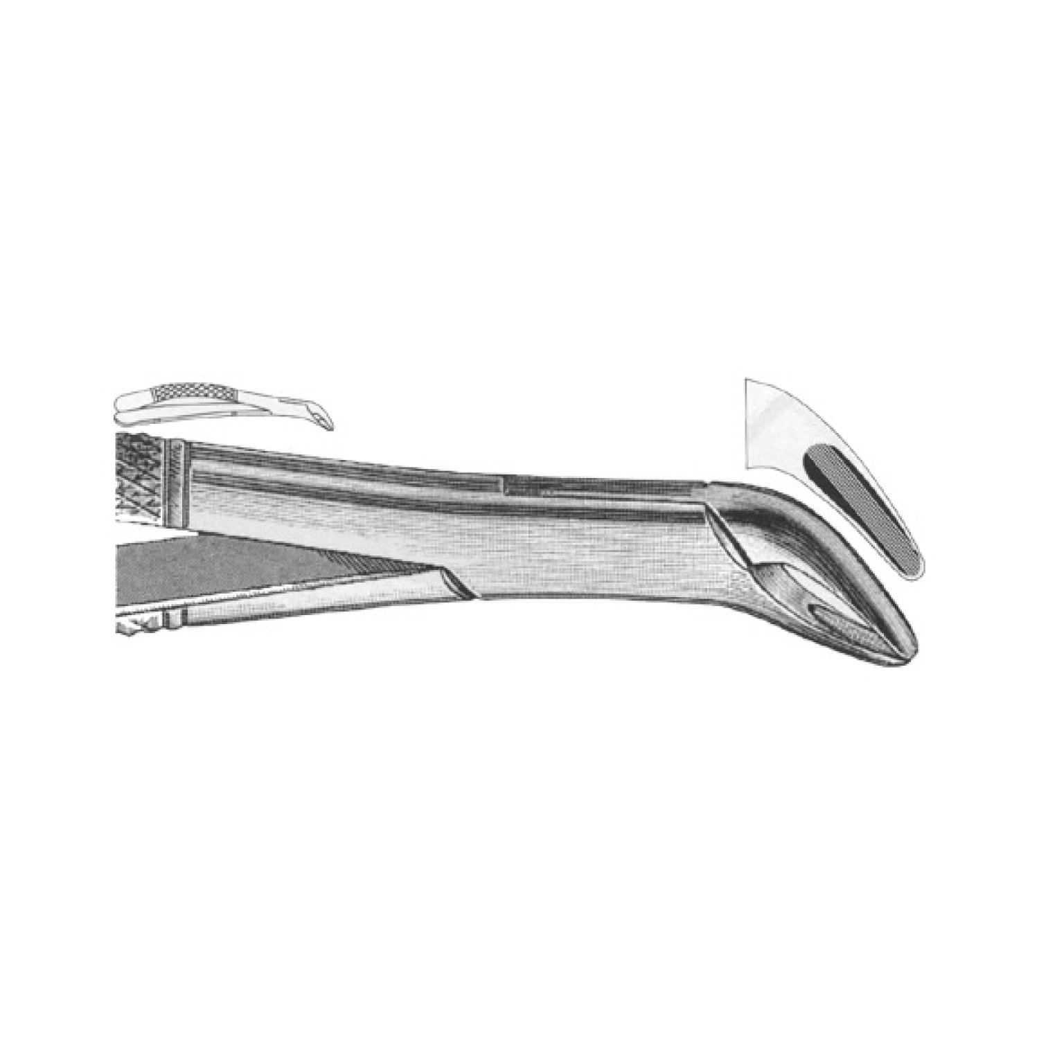Cryer American Pattern Extraction Forcep