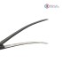 Bainbridge Artery Forcep, 18.5 cm / 7-1/4", Curved Bainbridge Artery Forcep, 18.5 cm / 7-1/4", Curved
