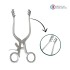 Weitlaner Retractor 16.5 cm / 6-1/2" Teeth 3:4 Blunt